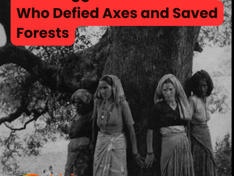 Tree Huggers: The Women Who Defied Axes and Saved&nbsp;Forests