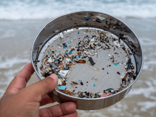 Nanoparticles: The Invisible Threat to Our Environment and&nbsp;Health