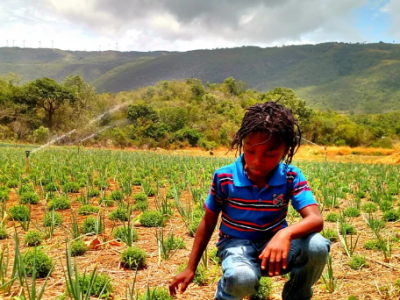 Sustainability in the Livity Lifestyle: Lessons from Rastafarians and Indigenous&nbsp;Cultures