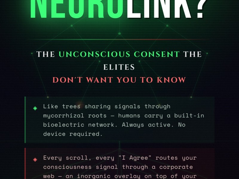 The Root Network Within&nbsp;Us