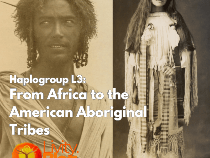 The L3 Family Tree: How Melanesians, Indigenous Americans, and the Beja-Sudanese-Eritrean Peoples Are&nbsp;Related