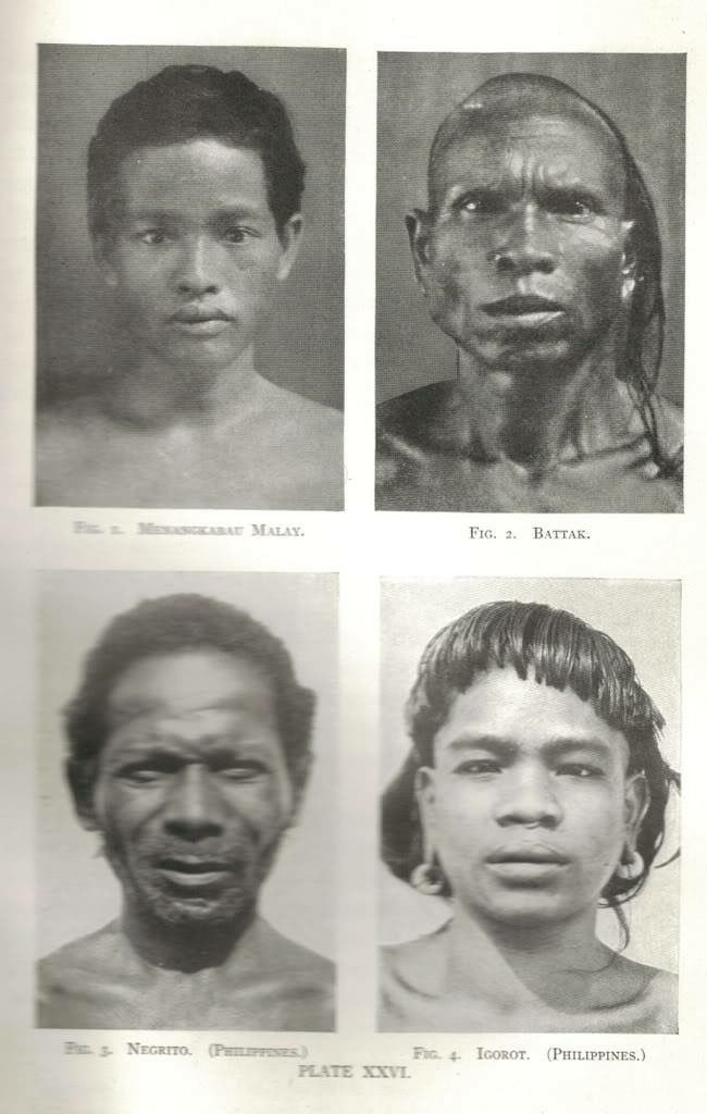 Four historical photographs of individuals from various ethnic groups: the top left shows a young Manangkabau Malay, top right features a Batak man, the bottom left displays a Negrito from the Philippines, and the bottom right presents an Igorot individual from the Philippines.